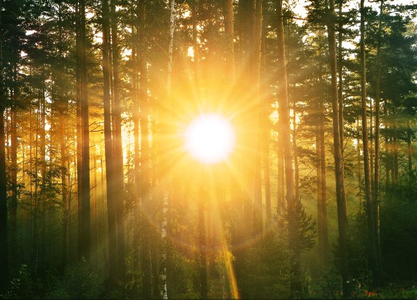 Солнце рисунок