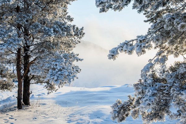 Мороз и солнце