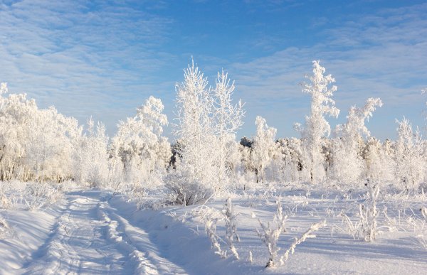 Зима Мороз и солнце