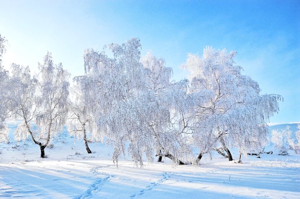 Пейзажи зимы Мороз и солнце