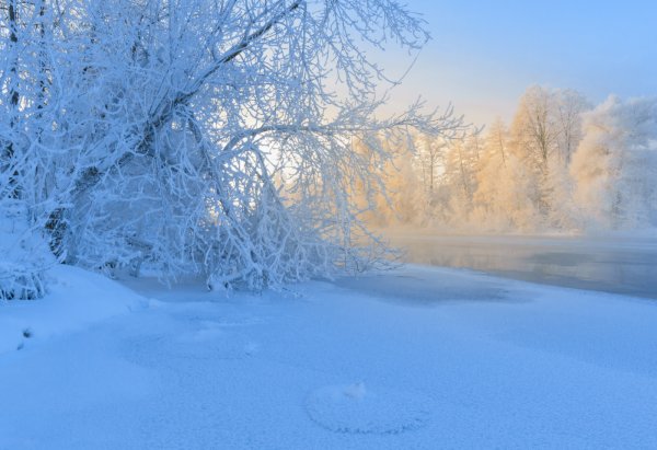 Морозное солнце