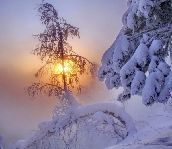 Морозный Солнечный день