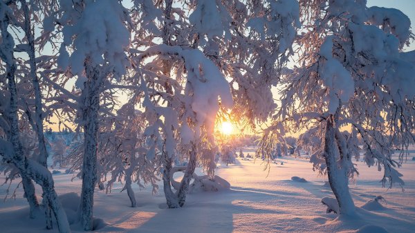 Зима солнце