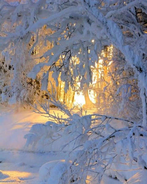 Художник Владимир Княгницкий