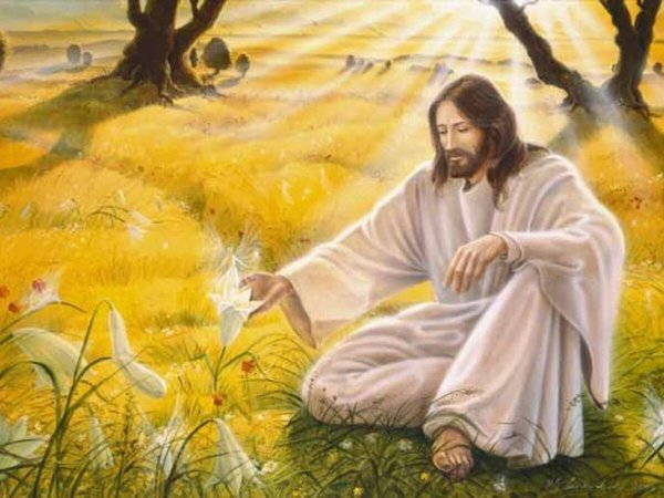 О природе богов