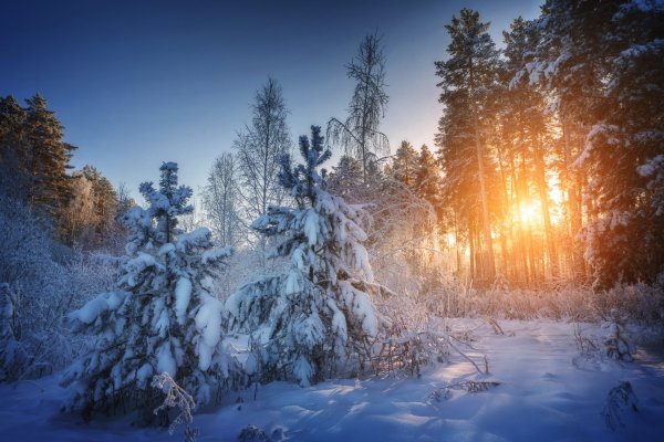 Утро в Сибири зимой