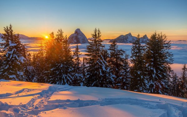 Красивый вид зимой