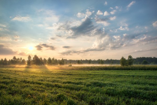 Луга Белоруссии