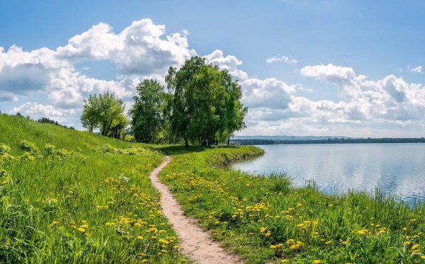 Родной край