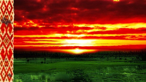 Белорусский флаг закат над болотом