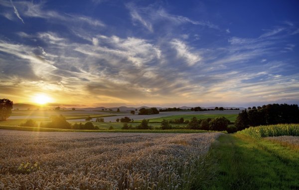Рассвет в степи