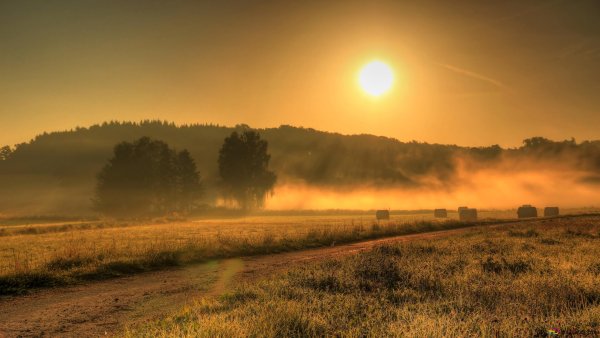 Природа рассвет