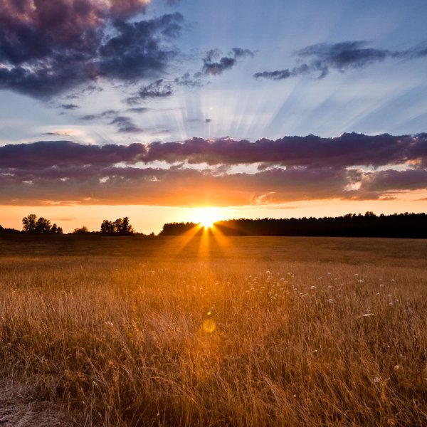 Природа солнце