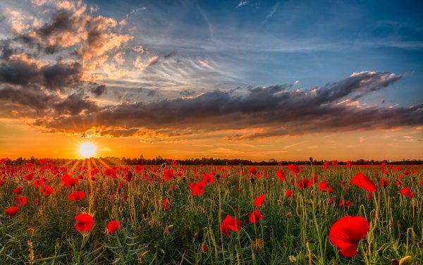 Небо рассвет