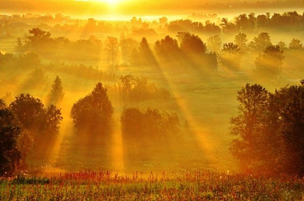 Брезжащий рассвет