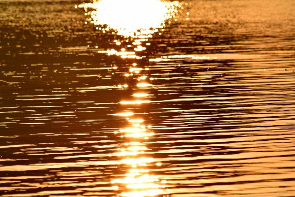 Солнечные блики на воде