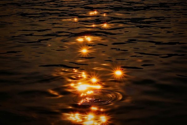 Блики солнца на воде