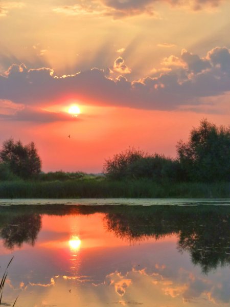 Отражение солнца в озере