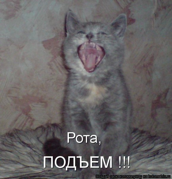 Рота подъем прикол