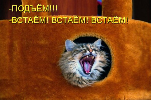 Подъем пора вставать