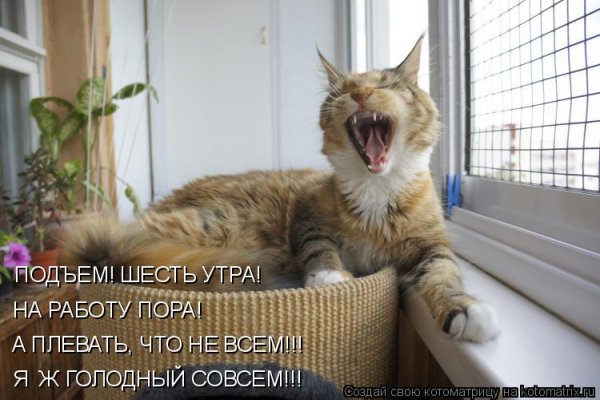 Подъем утром