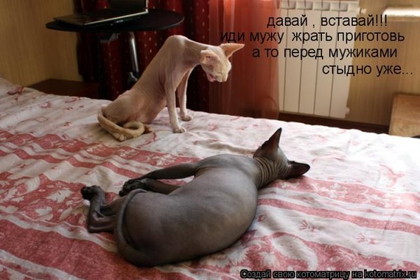 Пора вставать доброе утро