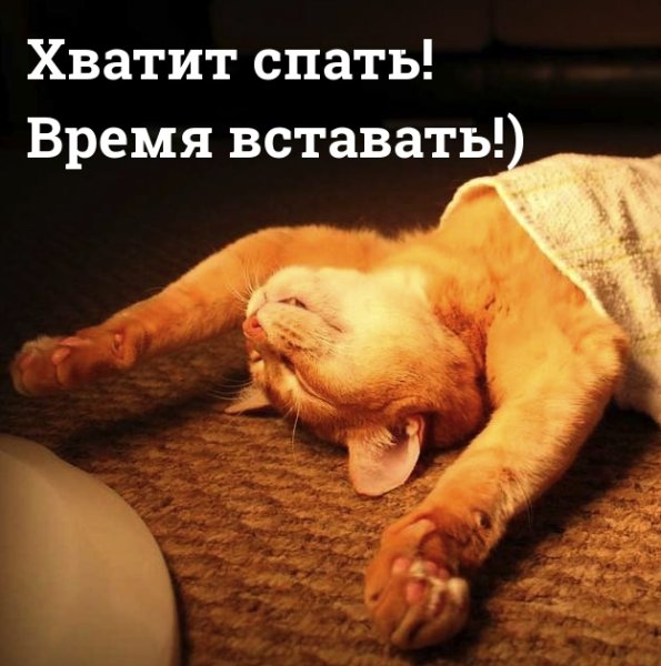 Хватит спать пора вставать