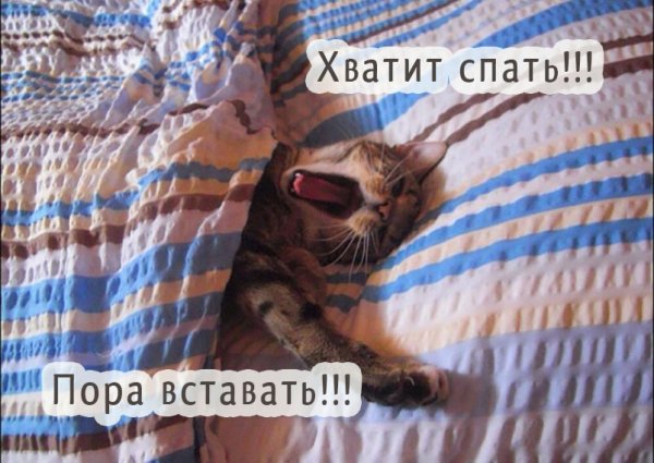 Просыпайся пора вставать