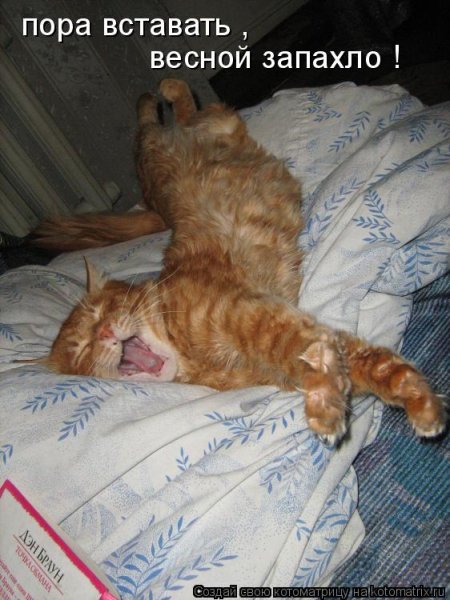 Пора просыпаться