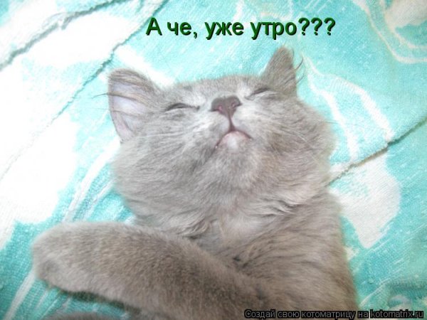 Солнце весной поднимается