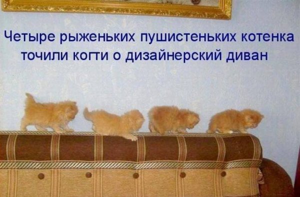 Проснулись УЛЫБНУЛИСЬ потянулись и на работу