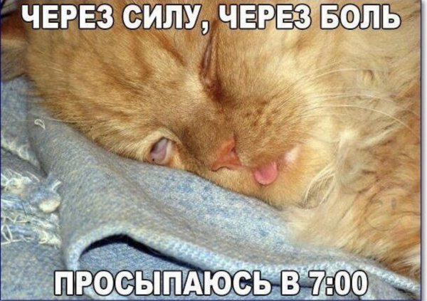 Вот так просыпаешься утром и сразу понимаешь
