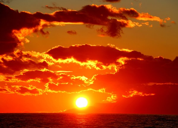 Оранжевый закат мияги