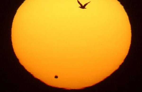 Транзит Венеры по диску солнца