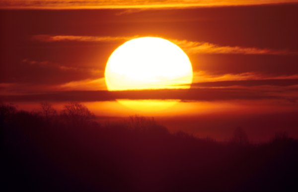 Венера Планета