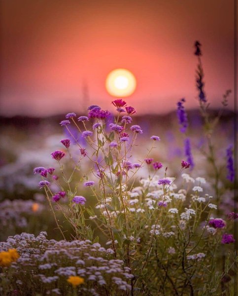 Нежный закат