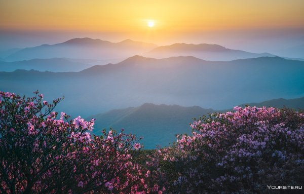 Красивый рассвет в горах