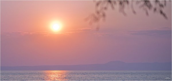 Бледный рассвет