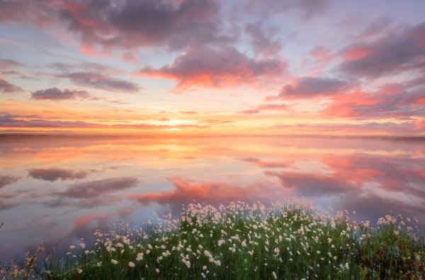 Белоснежный рассвет