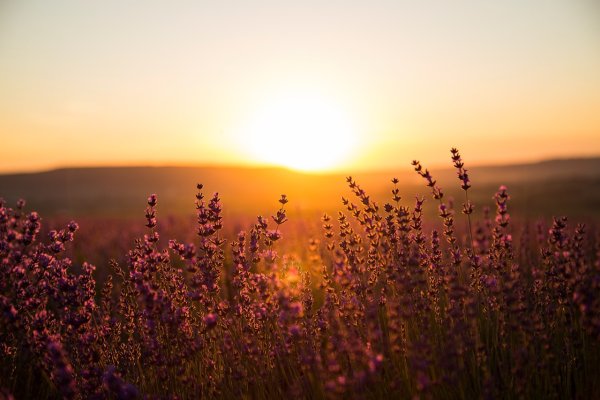 Нежный рассвет