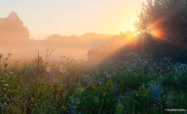 Летний рассвет