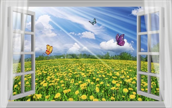 Вид из окна лето