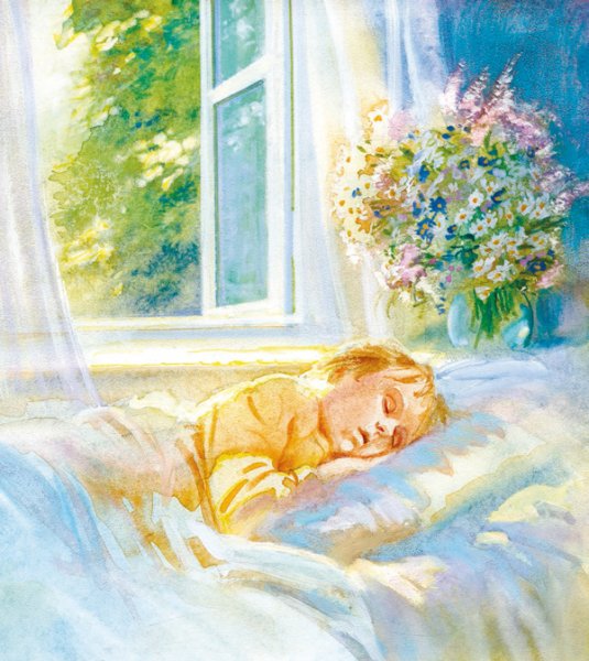 В утренних лучах