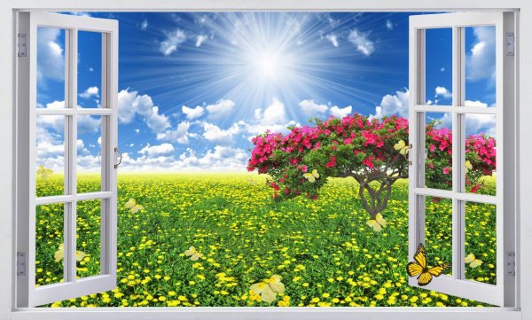 Фотообои распахнутое окно