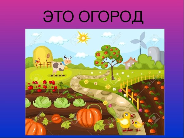 Огород для детей