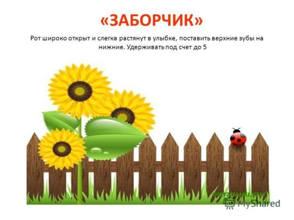 Фон Подсолнухи для детей