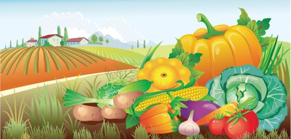 Трава и солнце