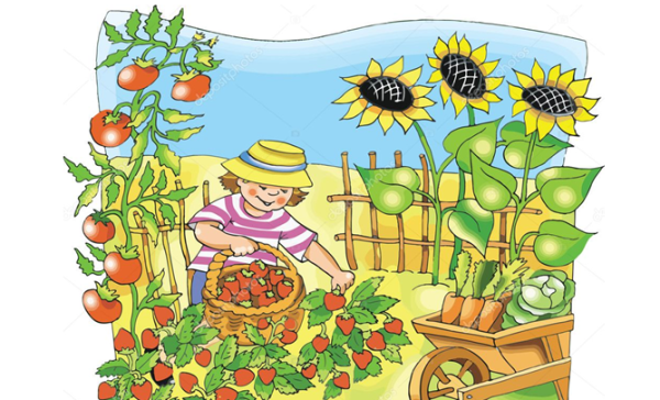 Грядка с овощами для детей