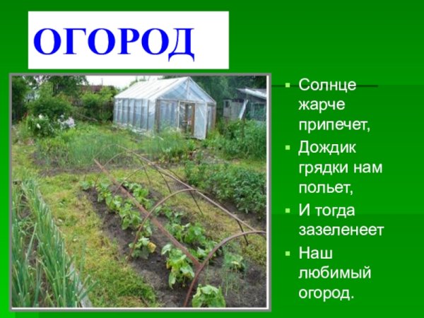 Огород иллюстрация