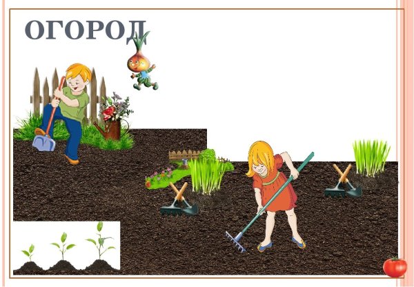 Красивый сад на даче